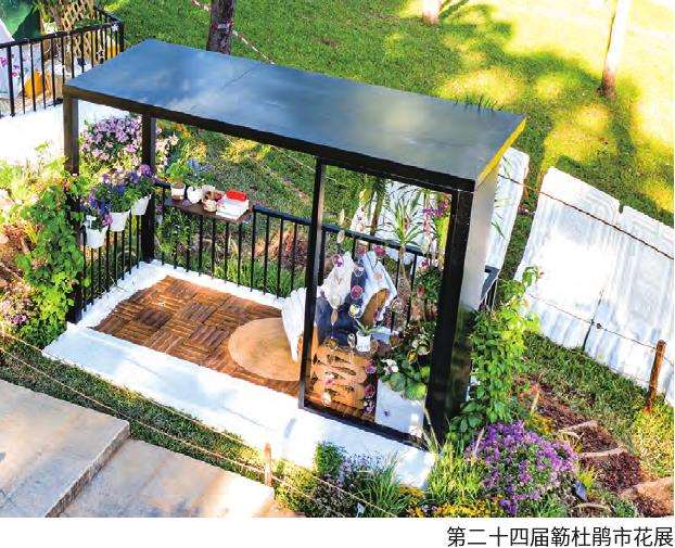 第七届深圳簕杜鹃市花展