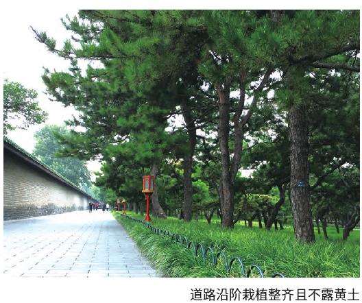 麦冬草栽培在园林中的5个应用