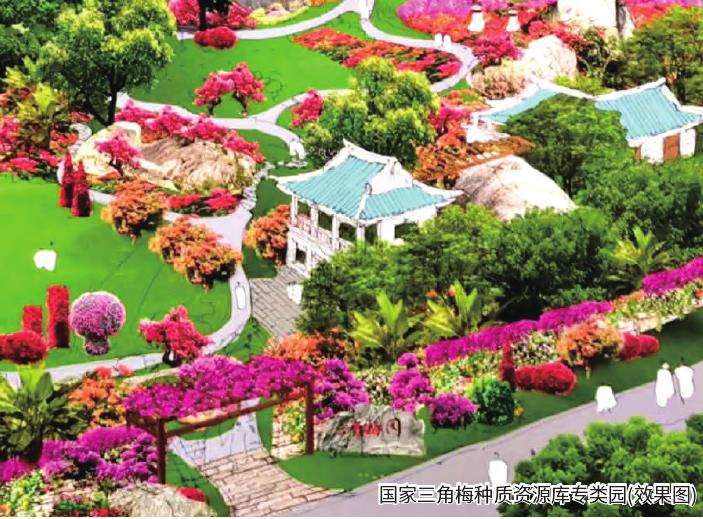 厦门市园林植物园的三角梅种质资源库