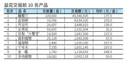 台北花卉市场盆花行情