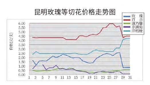 2023年1月昆明切花市场行情