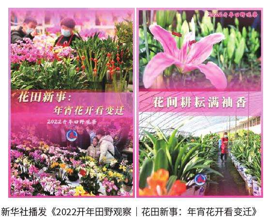 年展现花卉大国的责任与担当