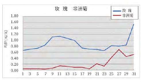 昆明KIFA花卉拍卖交易行情
