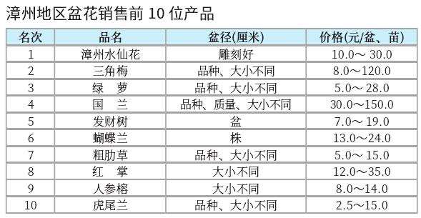 漳州盆花市场行情