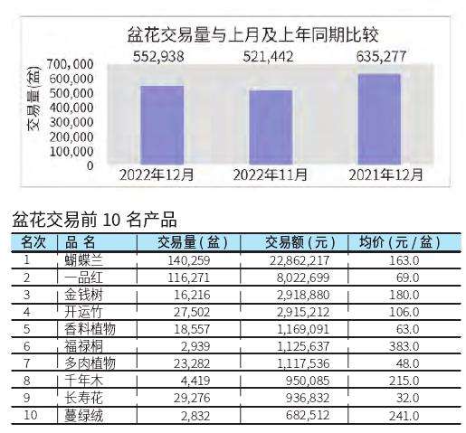 2022年12月台北盆花行情