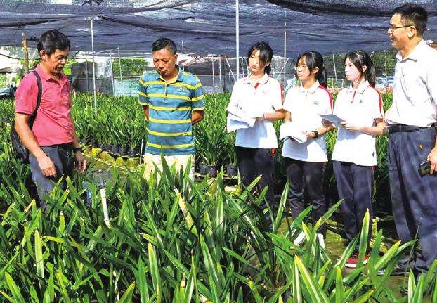 广东顺德国兰产业外溢效应明显