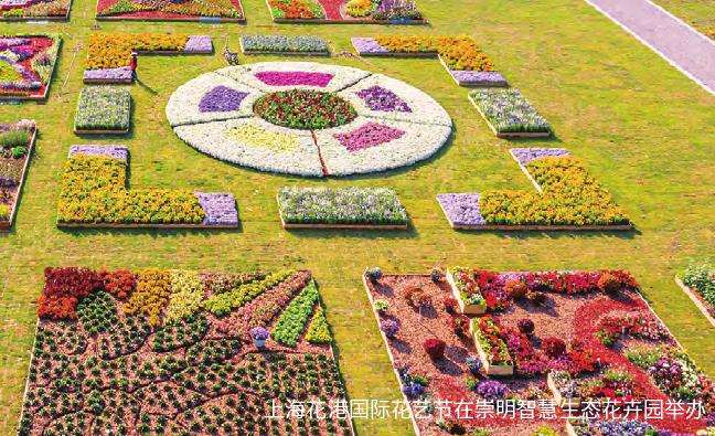 花卉景观分会扎实做好行业规范