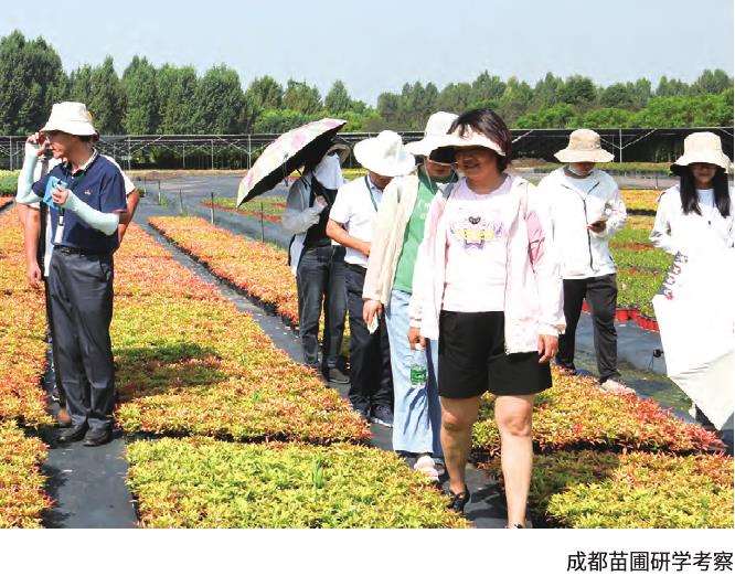 2022年绿化观赏苗木分会高质量开展交流活动