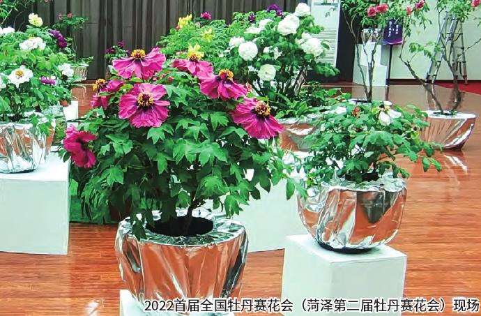 菏泽第二届牡丹赛花会