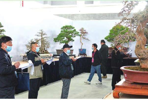 如皋举办全国精品盆景展