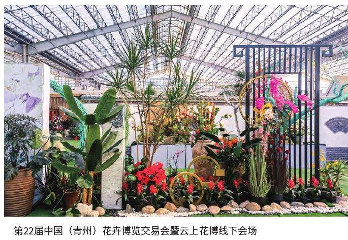 2022年举办第22届青州花卉博览交易会