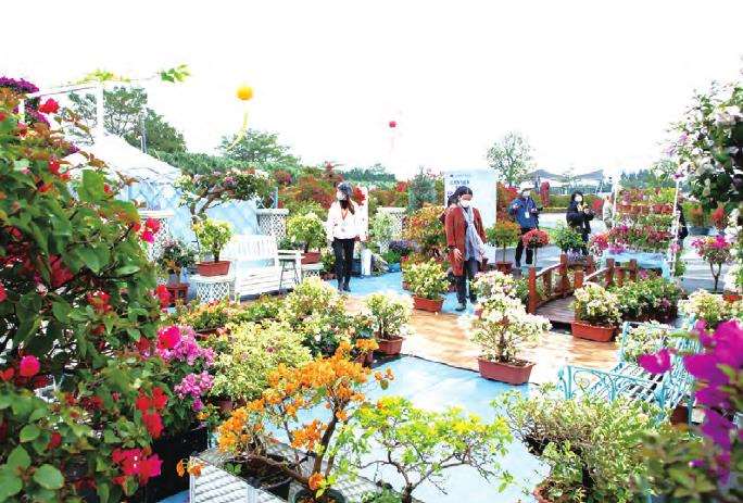中国中山花木盆景产业大会亮点纷呈