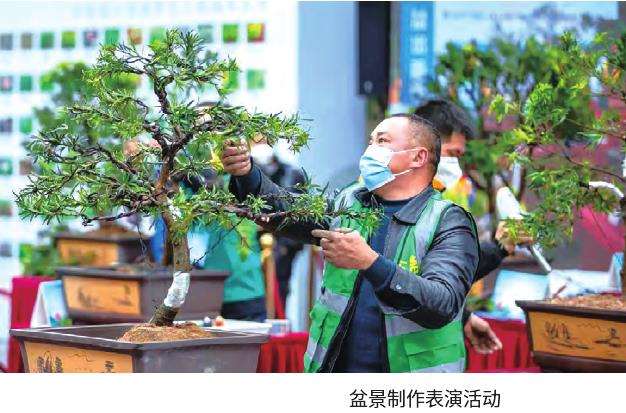 中国中山花木盆景产业大会亮点纷呈