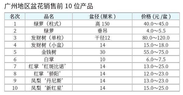 2022年11月广州盆花市场行情