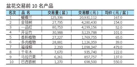 2022年11月台北花卉市场盆花行情