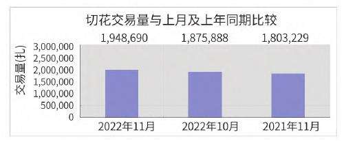 2022年11月台北花卉市场切花行情
