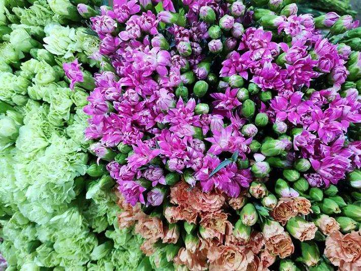 鲜切花产能持续提升消费信心