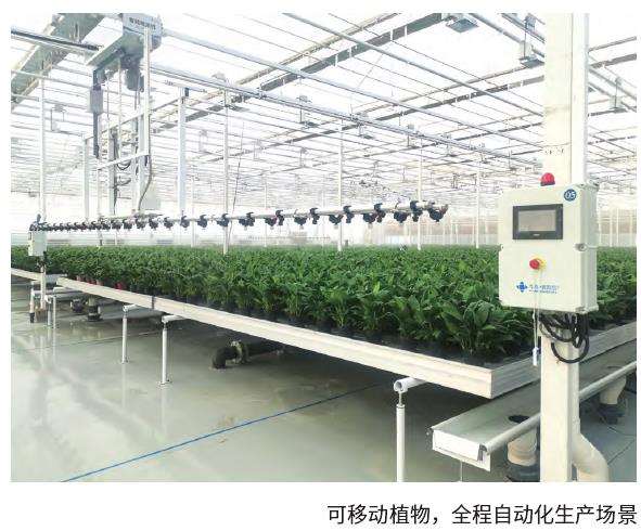 花卉温室设备发展现状与特征