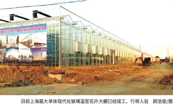 从浦南花卉基地起步向长三角花卉科创产业园攀登