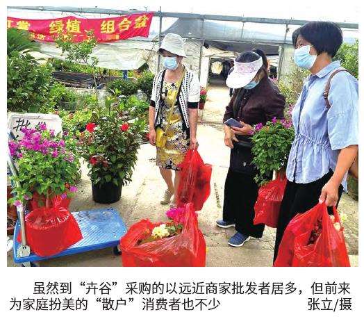 从浦南花卉基地起步向长三角花卉科创产业园攀登