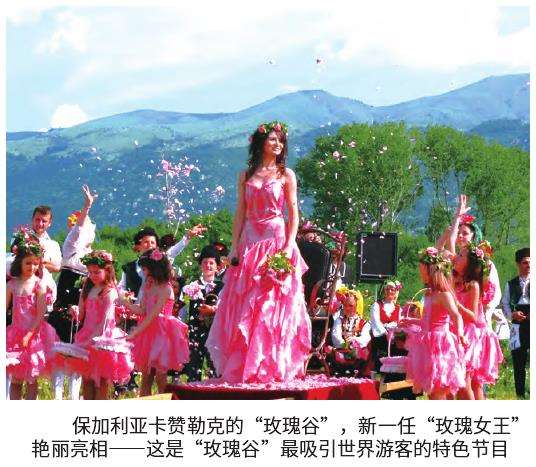 上海引领新世纪花潮云间萌生现代花卉经济