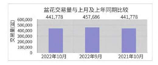 2022年10月台北盆花行情
