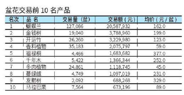 2022年10月台北盆花行情