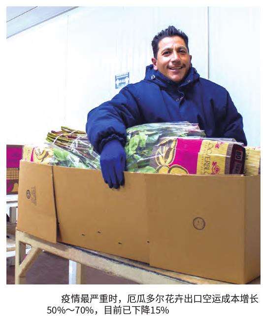 厄瓜多尔花卉 明年市场需求适度增长