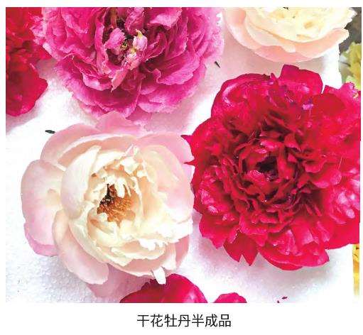山东菏泽市牡丹研究所的3大难题