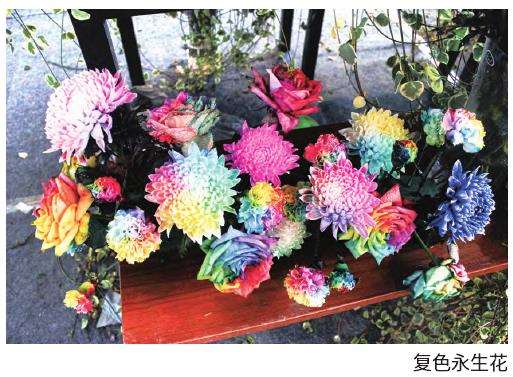 为什么云南永生花生产原料丰富