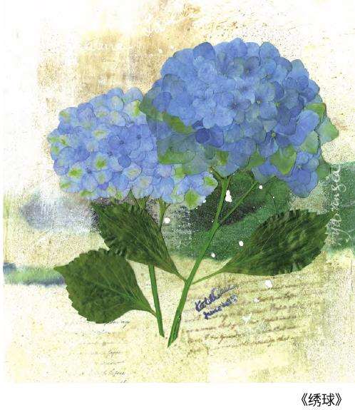 韩国有丰富的压花教学与比赛