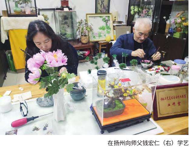 我在祖国各地寻访通草花的故事