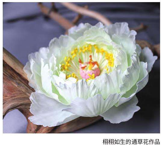 宋代是通草花的第一个鼎盛期