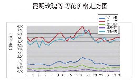 2022年10月昆明切花市场行情