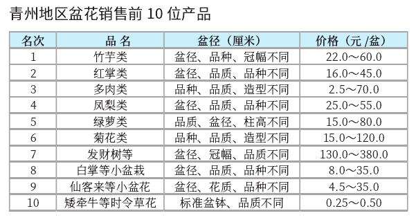 2022年10月青州盆花市场行情