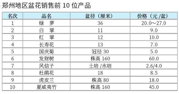 2022年10月郑州盆花市场行情