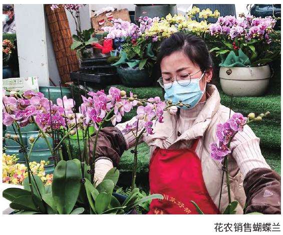 青州产业基础打造千亿级花卉产业集群