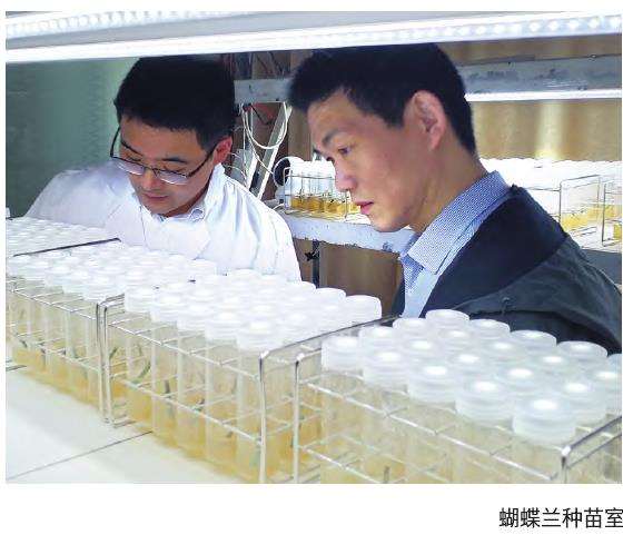 怎么提升青州花卉直播电商产业园能力