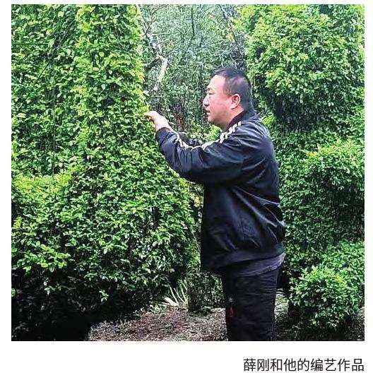 步入这家名为薛刚园艺场的基地内