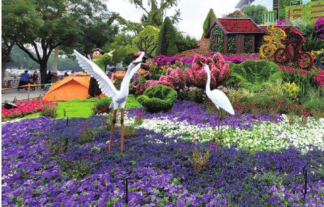 如何才能保持花坛常换常新