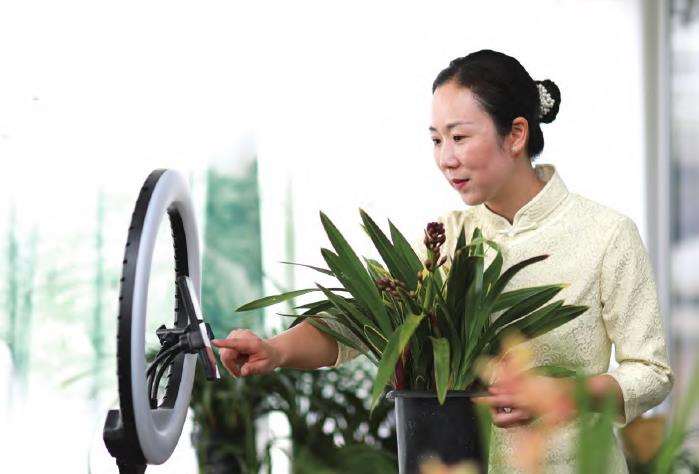 访广东翁源县麓山兰业有限公司 严恋花