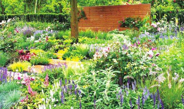 花境营建怎么设计的5个理念原则