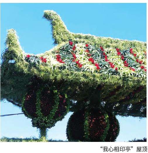 新工艺立体花坛的优点和缺点有哪些