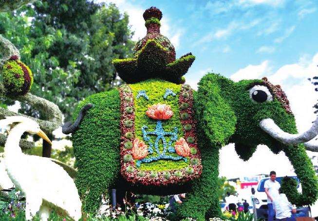 新工艺立体花坛的优点和缺点有哪些