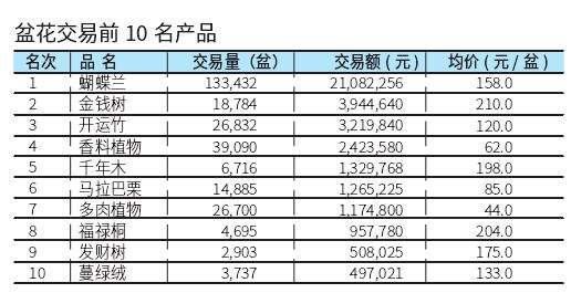 2022年9月台北花卉市场盆花行情