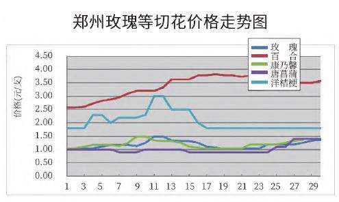 2022年9月郑州切花市场行情