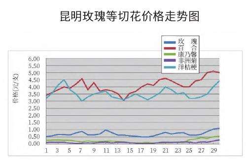 2022年9月昆明切花市场行情