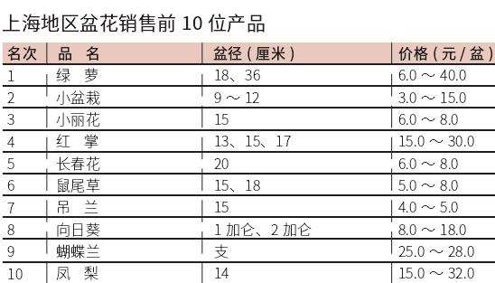 2022年8月上海盆花市场行情