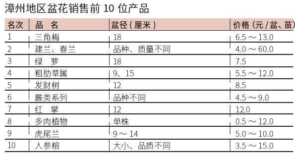 2022年8月漳州盆花市场行情