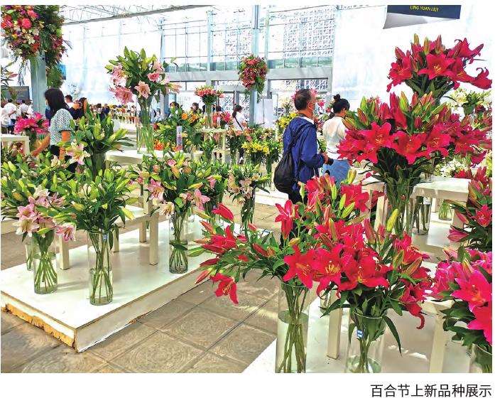 现代农业助推凌源花卉产业高质量发展